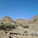 Bilder von Wadi Adai Hike