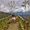Marcia Meza Gonzalez's Photo
