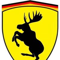 Photos de Masood Bahman