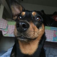 Michal Miki的照片