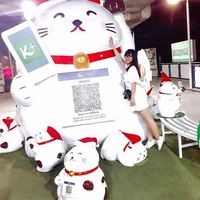 Фотографии пользователя Phương Diễm