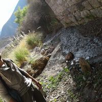 Renzo Esteban  Manzano's Photo