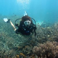 Clara R Vives的照片