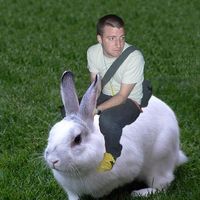 Jovan Atanackovic's Photo