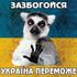 Sergey Klitko's Photo