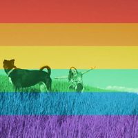 Tamara Llopis的照片