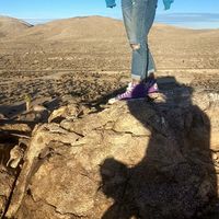 Desirea Carey's Photo