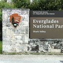 Full Moon Bicycling With the Gators's picture