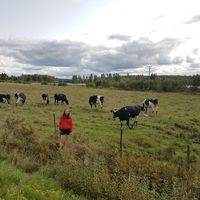 Johanna  Rost's Photo