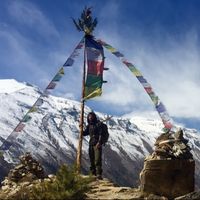 Fotos de Joe O'connor