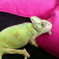 Fotos de Diana Klauß