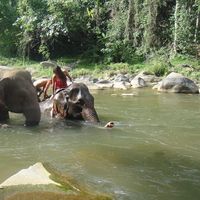 Sophia Mercado's Photo