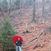 Danilo Pileri的照片