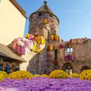 Colorful and melodic hike in Lahr's picture