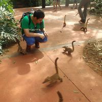 Francisco Silva的照片