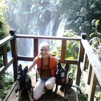 George Iribarren的照片