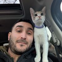 Anas Hamdan's Photo