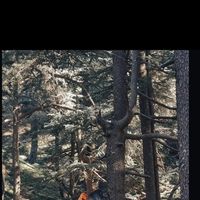 Rami Boucetta's Photo