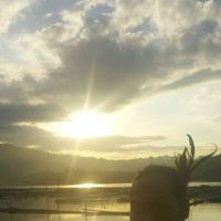 Bulalakaw Magiting's Photo