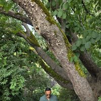 Anas Elouafi's Photo