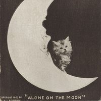 Fotos de Annie Myshkin