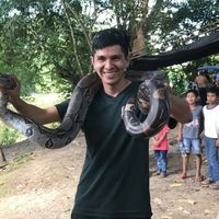 Emanuel Steven Menendez Villanueva的照片