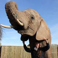 Fotos de Henrikje Severloh