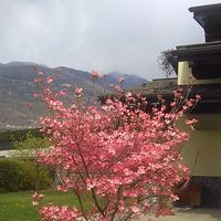 Fotos de Luca Lanzini