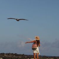 keren Guzman的照片