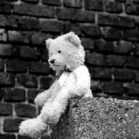 Martin Bilodeau的照片