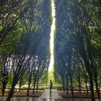 Фотографии пользователя Nabeel Imtiaz