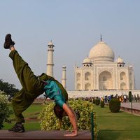 Orchid Divine的照片