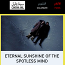 Eternal Sunshine of the Spotless Mind-Cinema Akil's picture