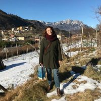 Maria Antonietta Maneschi's Photo