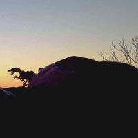 Jio D'pressto's Photo