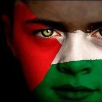 Mouhamed Sadok Khmiri's Photo