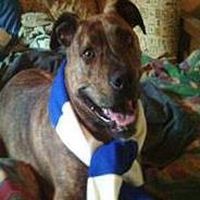 Pierangelo Valsecchi's Photo