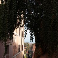 Carlos Nascimento's Photo