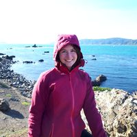 Sandra Glose's Photo