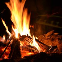 Eva Edovald的照片