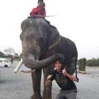 Van Kennedy的照片