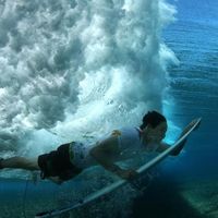 Fotos de Tad McCardell