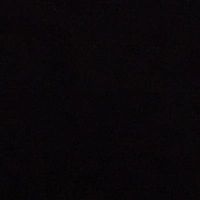 Ilaria Formisano's Photo