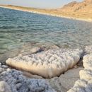 Amman-dead Sea And Salt Beach-amman's picture