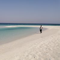 Milad Hoseyni's Photo