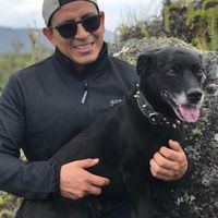 Photos de Elmer Guiop