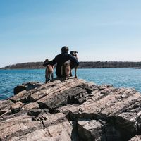 Zdjęcia użytkownika Philippe Elsken