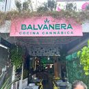 Balva BistroCocina Cannábica的照片
