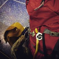 lindsay bones's Photo