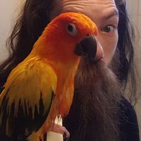 Christian Gagne的照片